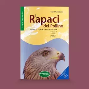 I Rapaci del Pollino