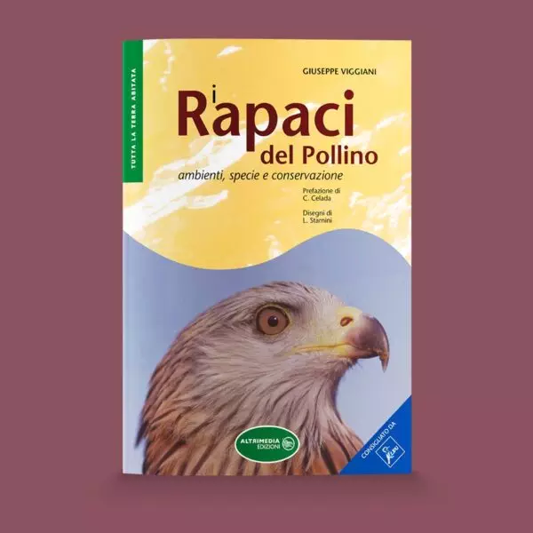 rapaci