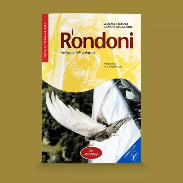rondoni