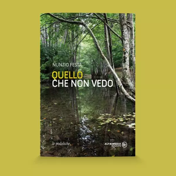 quello che non vedo