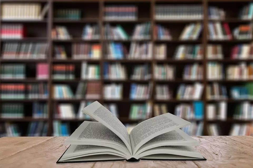 Report Istat 2017 su produzione e lettura dei libri in Italia: aumenta la produzione editoriale ma resta invenduta la metà dei titoli 1 Report Istat 2017 su produzione e lettura dei libri in Italia: aumenta la produzione editoriale ma resta invenduta la metà dei titoli